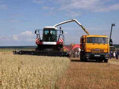 Челябинская область собрала рекордный урожай зерна за 33 года - 2,33 млн тонн